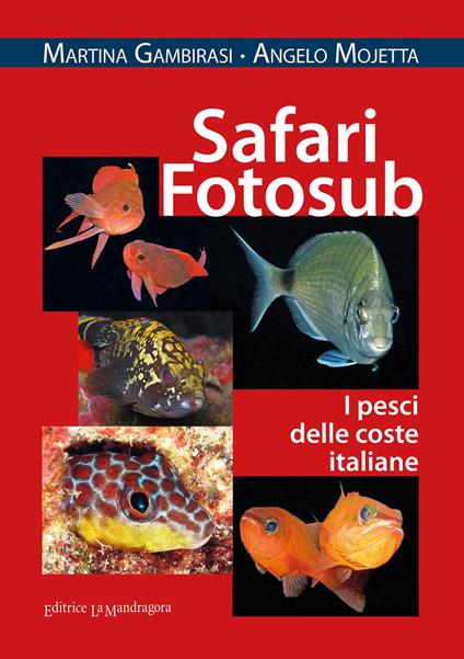Safari fotosub. I pesci delle coste italiane. Ediz. illustrata - Martina Gambirasi,Angelo Mojetta - copertina
