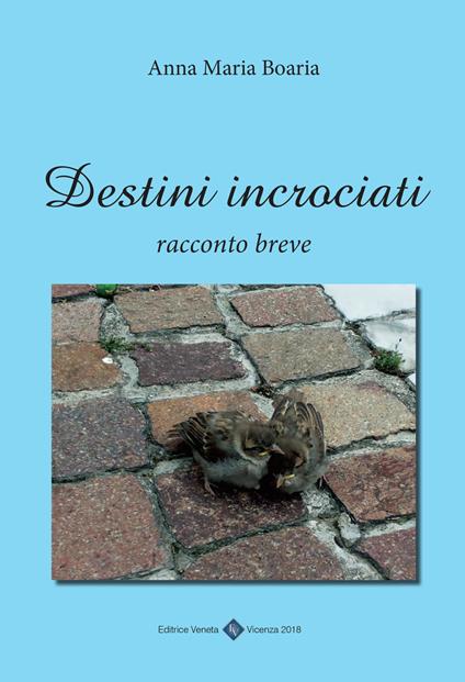 Destini incrociati - Anna Maria Boaria - copertina
