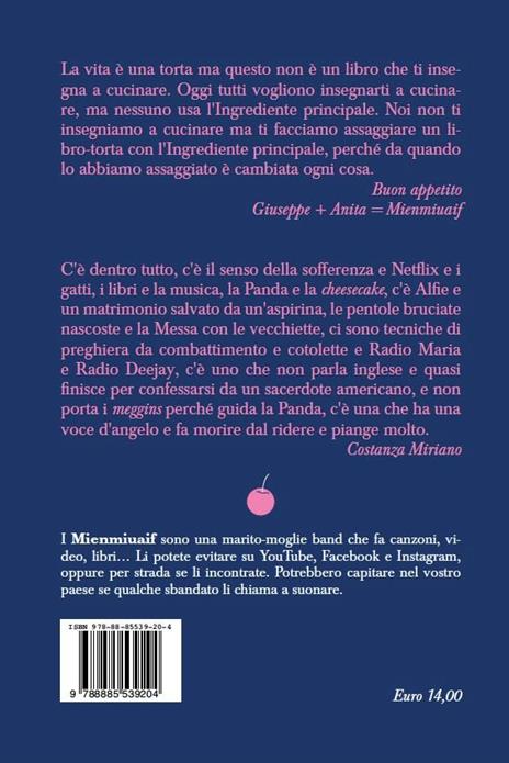 Mienmiuaif cake. Il libro che non ti insegna a cucinare - Anita Baldisserotto,Giuseppe Signorin - 2