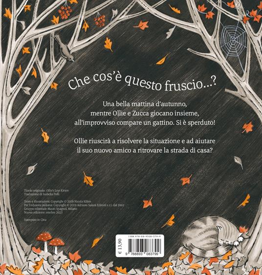 Ollie e il gattino sperduto. Ediz. a colori - Nicola Killen - 4
