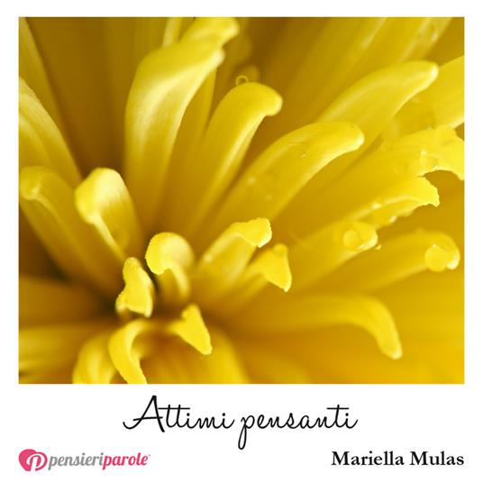 Attimi pensanti - Mariella Mulas - copertina