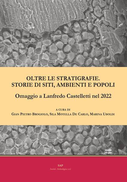 Oltre le stratigrafie. Storie di siti, ambienti e popoli. Omaggio a Lanfredo Castelletti nel 2022 - copertina