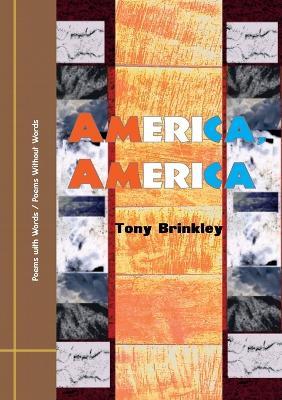 America, America: Poems with Words / Poems Without Words - Tony Brinkley - cover