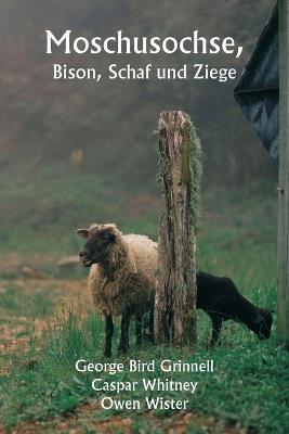 Moschusochse, Bison, Schaf und Ziege - George Bird Grinnell - cover