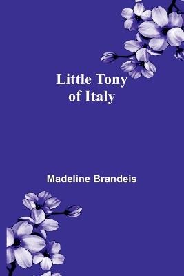 The Poems of Madison Cawein, Volume 1 (Edition2) - Madeline Brandeis - cover