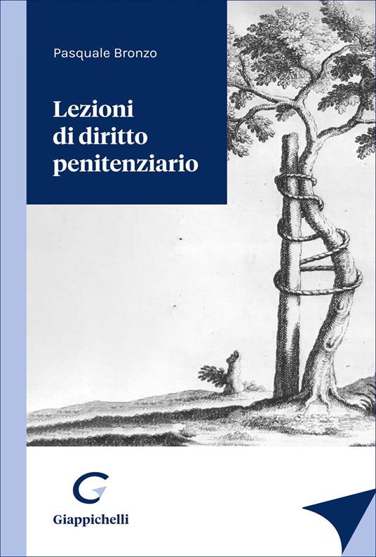 Lezioni di diritto penitenziario - Pasquale Bronzo - copertina