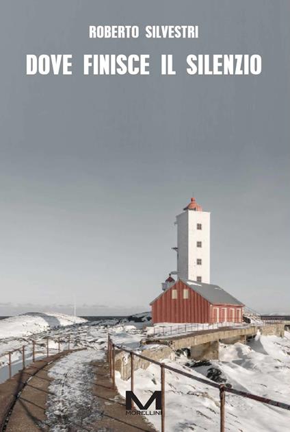 Dove finisce il silenzio - Roberto Silvestri - ebook