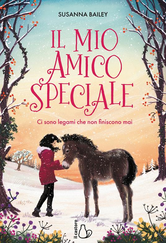 Il mio amico speciale. Ci sono legami che non finiscono mai - Susanna Bailey - copertina
