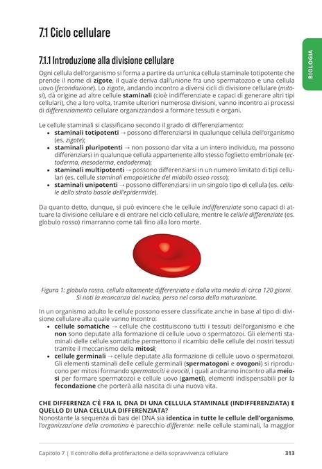 Testbusters. Kit semestre filtro 2026/2027. Con software di simulazione - 2