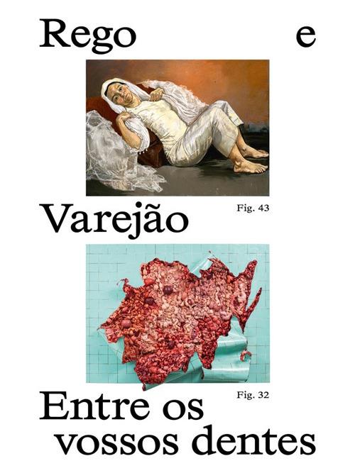 Paula Rego e Adriana Varejão. Entre os vossos dentes - Elena Crippa,Helena de Freitas,Raphael Fonseca - copertina