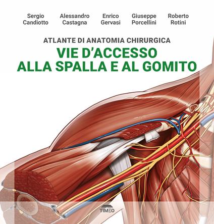 Atlante di anatomia chirurgica. Vie d'accesso alla spalla e al gomito. Ediz. illustrata - Sergio Candiotto,Alessandro Castagna,Enrico Gervasi - copertina