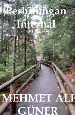 Perhitungan Internal - Mehmet Alİ Güner - cover