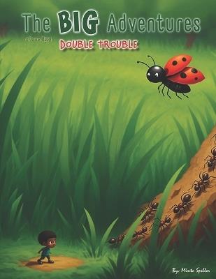 The Big Adventures Of Little Ryan: Double Trouble - Minta Speller - cover