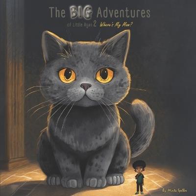 The Big Adventures Of Little Ryan: Where's My Mom? - Minta Speller - cover