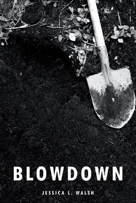 Blowdown - Jessica L Walsh - cover