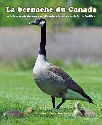 La bernache du Canada: À la découverte des zones humides, des migrations et de la vie familiale - Lionnel Mascarenhas - cover